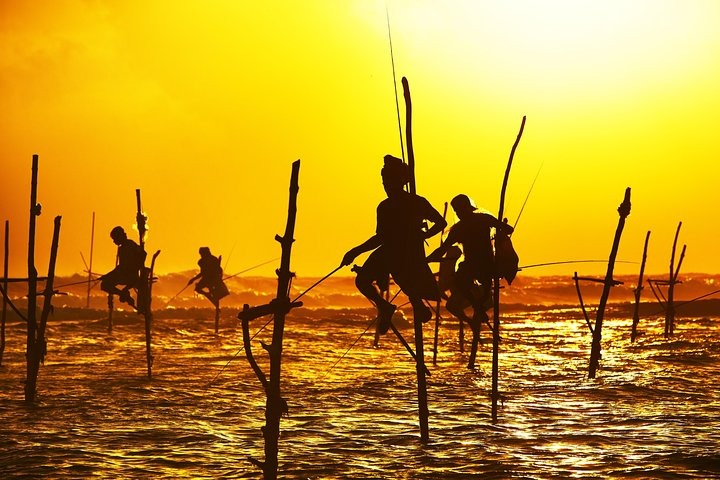 Multi-day Tours
