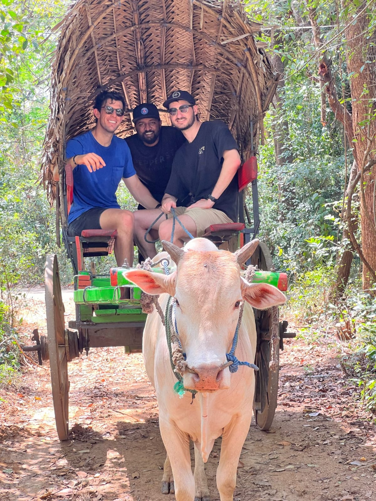 Travel Memory
